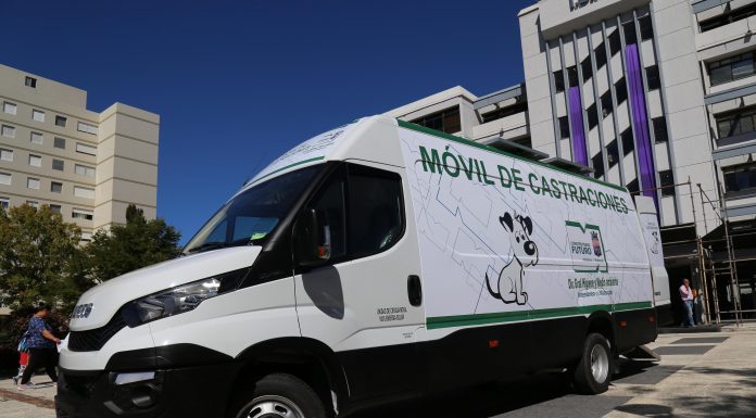 Inscripciones abiertas para castraciones en Piriápolis