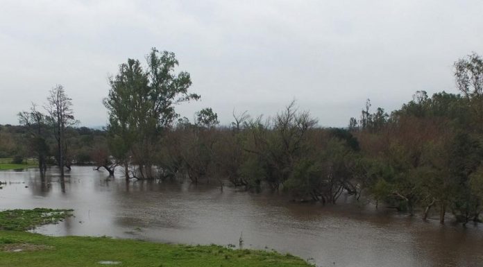 Camino bloqueado en San Carlos