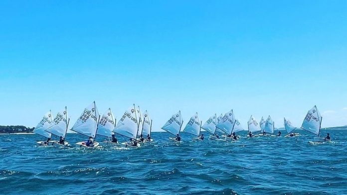 optimist2