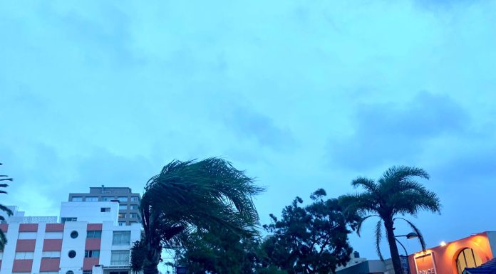 Gobierno decretó alerta roja por vientos de hasta 120 km/h en la costa de Canelones, Maldonado y Rocha