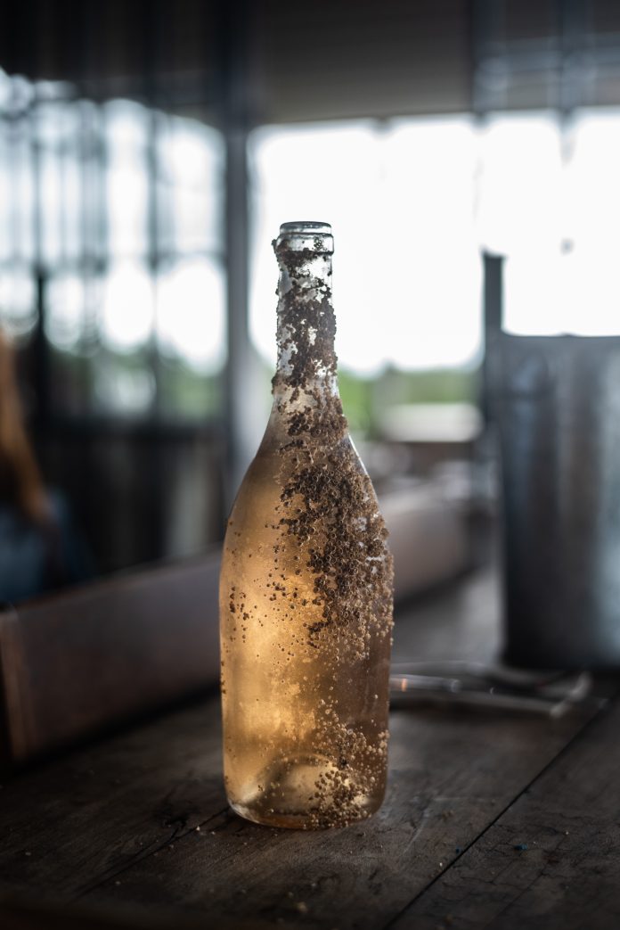 VINO1