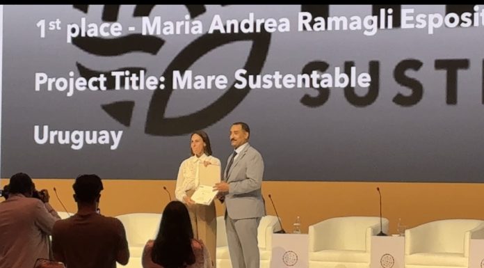 MARE Sustentable fue distinguido con el Primer Premio Eco-Friendly del UNIDO Global Call 2025