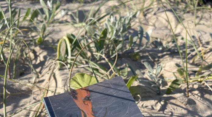 Entre poemas y abrazos de tango: Julieta Troielli presenta “Algo se hará lugar”