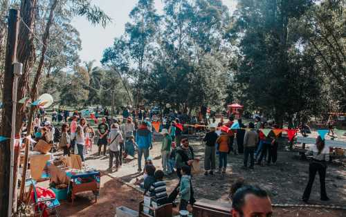 Mayo cultural: música en vivo, cine y mercadillo