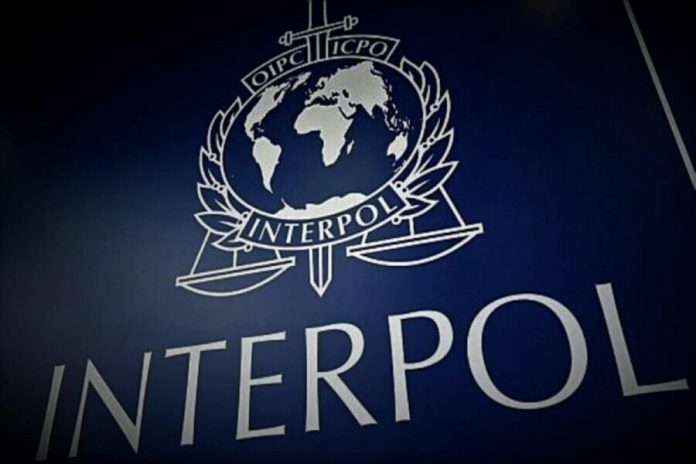 interpol