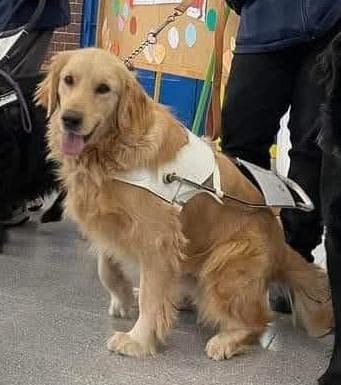 Apareció Thor