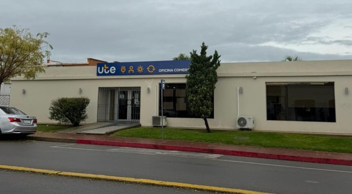UTE convoca a dos cargos administrativos para Maldonado